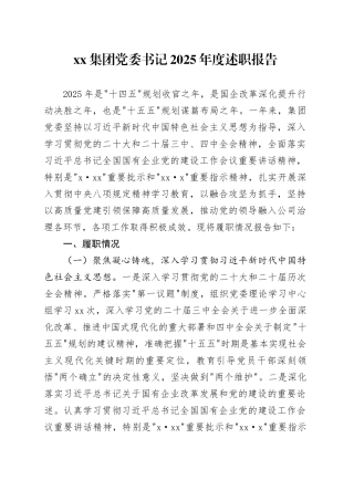 集团党委书记2025年度述职报告