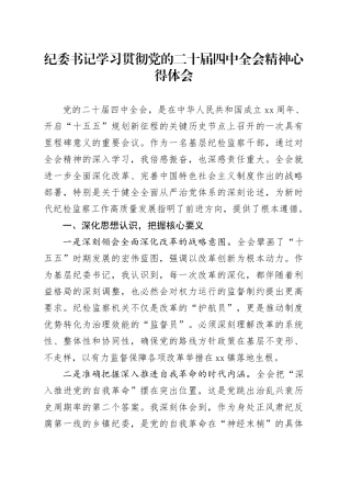 纪委书记学习贯彻党的二十届四中全会精神心得体会