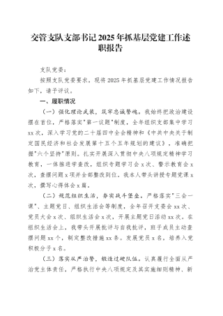 交管支队支部书记2025年抓基层党建工作述职报告