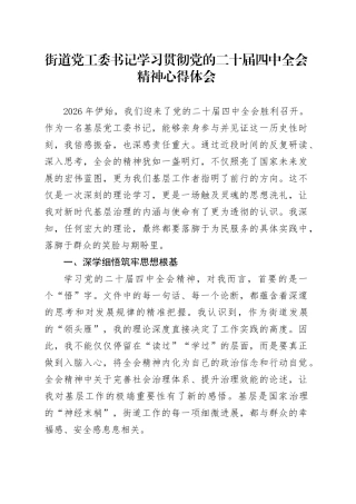 街道党工委书记学习贯彻党的二十届四中全会精神心得体会