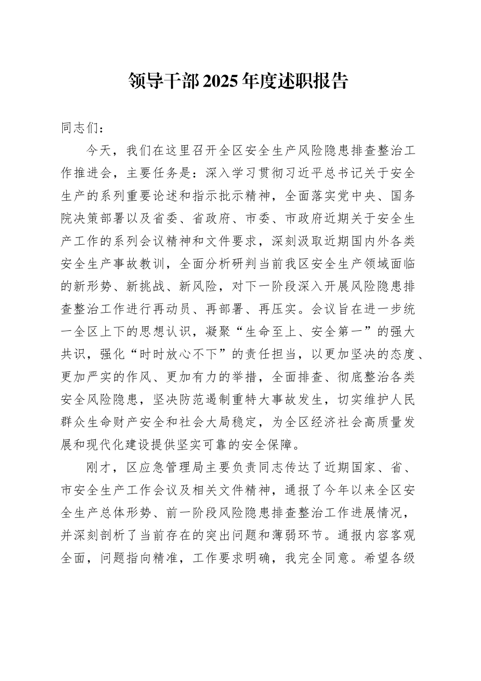 领导干部2025年度述职报告_第1页