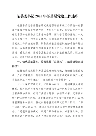 某县委书记2025年抓基层党建工作述职