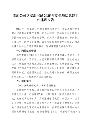 能源公司党支部书记2025年度抓基层党建工作述职报告