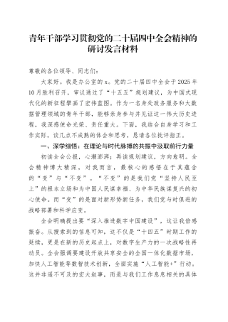 青年干部学习贯彻党的二十届四中全会精神的研讨发言材料