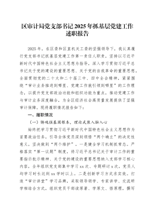 区审计局党支部书记2025年抓基层党建工作述职报告