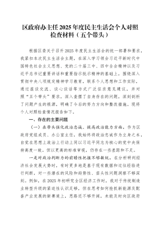 区政府办主任2025年度民主生活会个人对照检查材料（五个带头）20251229