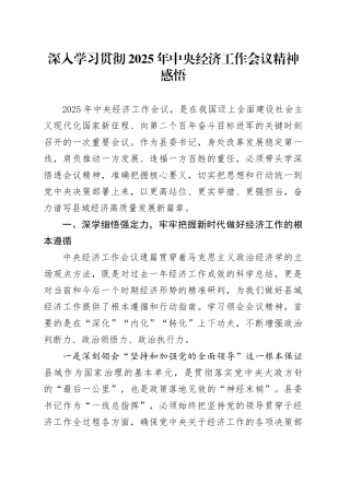 深入学习贯彻2025年中央经济工作会议精神感悟