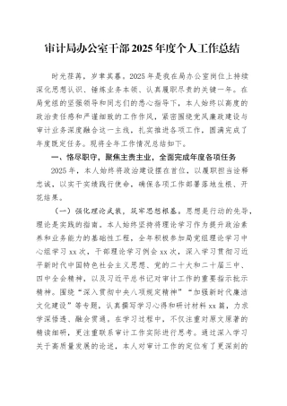 审计局办公室干部2025年度个人工作总结