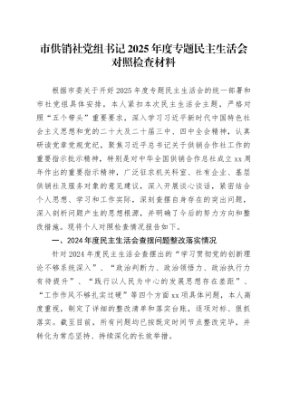 市供销社党组书记2025年度专题民主生活会对照检查材料20260108