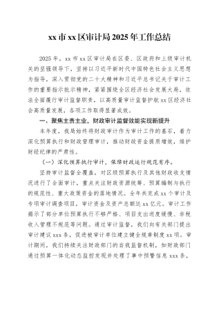 市区审计局2025年工作总结