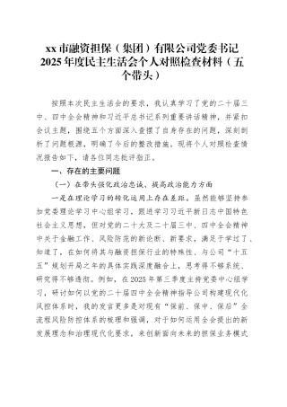 市融资担保（集团）有限公司党委书记2025年度民主生活会个人对照检查材料（五个带头）20260108