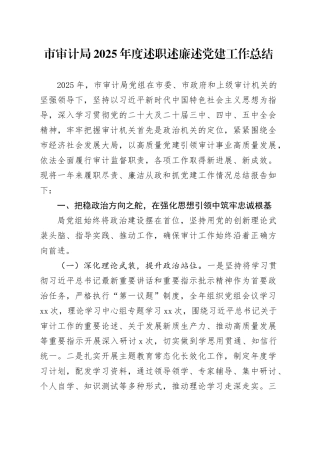 市审计局2025年度述职述廉述党建工作总结