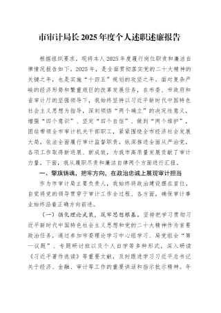 市审计局长2025年度个人述职述廉报告