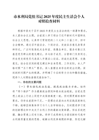 市水利局党组书记2025年度民主生活会个人对照检查材料20260104