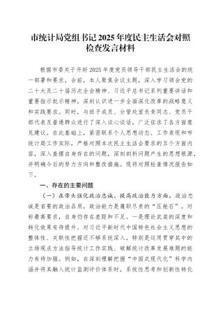 市统计局党组书记2025年度民主生活会对照检查发言材料20251231