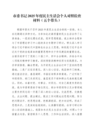 市委书记2025年度民主生活会个人对照检查材料（五个带头）20260108