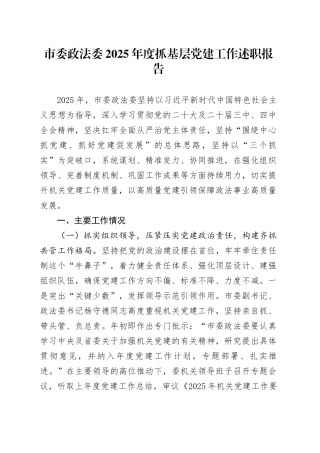 市委政法委2025年度抓基层党建工作述职报告20251224