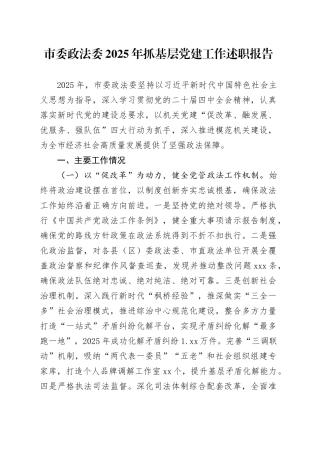 市委政法委2025年抓基层党建工作述职报告