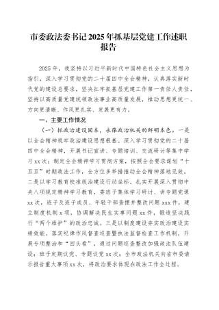 市委政法委书记2025年抓基层党建工作述职报告