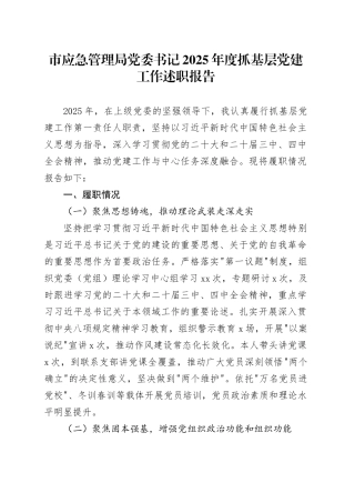 市应急管理局党委书记2025年度抓基层党建工作述职报告