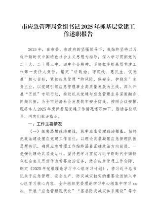 市应急管理局党组书记2025年抓基层党建工作述职报告