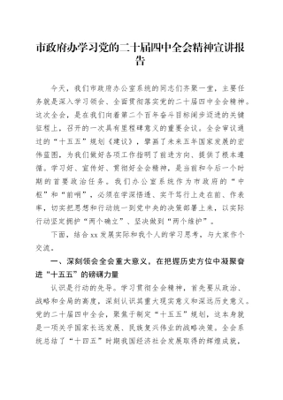 市政府办学习党的二十届四中全会精神宣讲报告