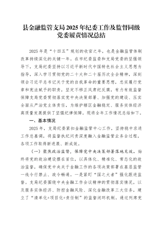 县金融监管支局2025年纪委工作及监督同级党委履责情况总结