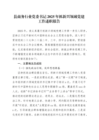 县商务行业党委书记2025年抓新兴领域党建工作述职报告