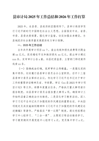 县审计局2025年工作总结和2026年工作打算