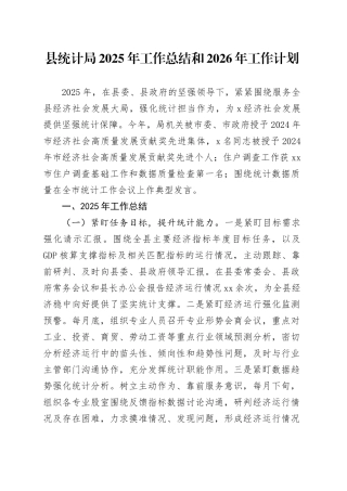 县统计局2025年工作总结和2026年工作计划