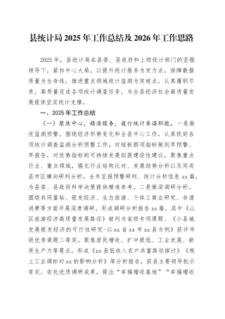 县统计局2025年工作总结及2026年工作思路