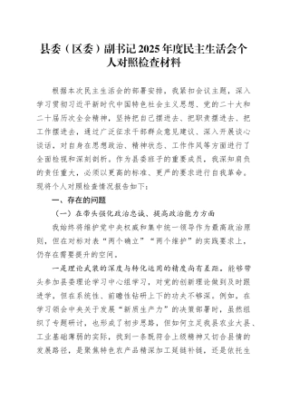 县委（区委）副书记2025年度民主生活会个人对照检查材料20260116