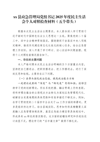 县应急管理局党组书记2025年度民主生活会个人对照检查材料（五个带头）20251231