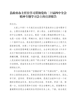 县政府办主任在学习贯彻党的二十届四中全会精神专题学习会上的宣讲报告