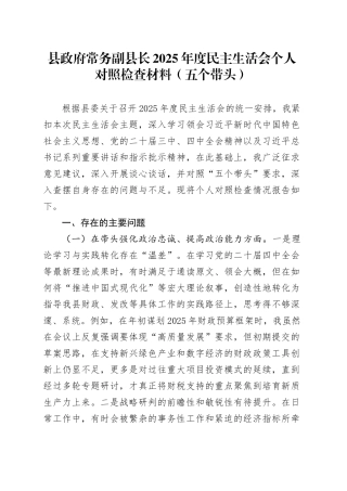 县政府常务副县长2025年度民主生活会个人对照检查材料（五个带头）