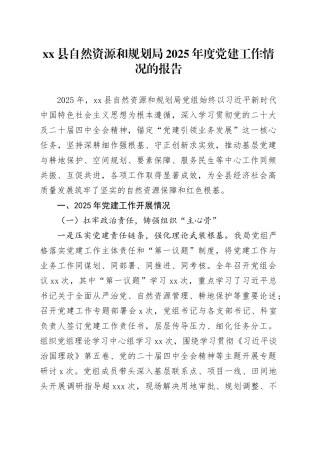 县自然资源和规划局2025年度党建工作情况的报告20251224