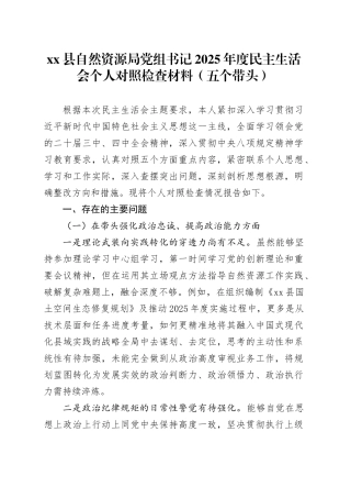 县自然资源局党组书记2025年度民主生活会个人对照检查材料（五个带头）20260106