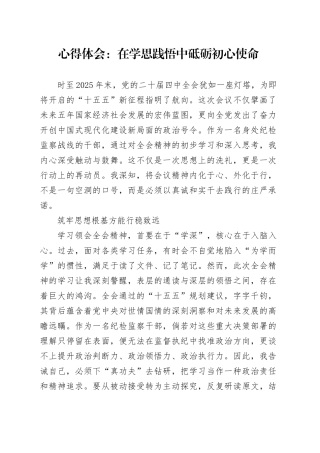 心得体会：在学思践悟中砥砺初心使命