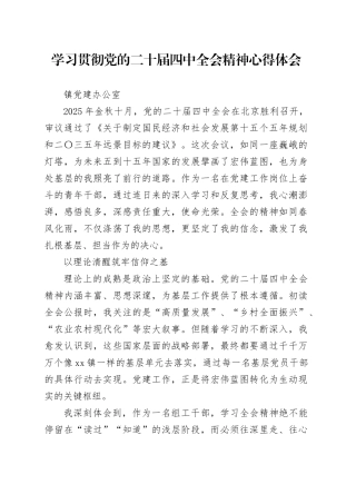 学习贯彻党的二十届四中全会精神心得体会_7