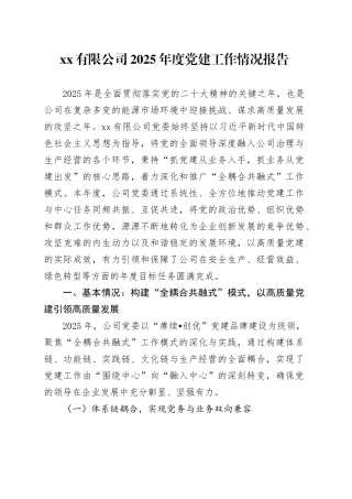 有限公司2025年度党建工作情况报告