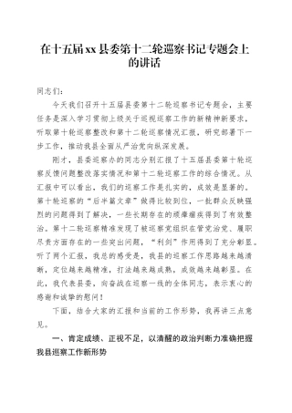 在十五届县委第十二轮巡察书记专题会上的讲话