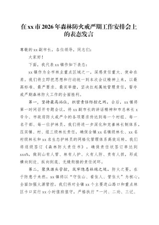 在市2026年森林防火戒严期工作安排会上的表态发言