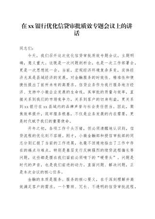 在银行优化信贷审批质效专题会议上的讲话
