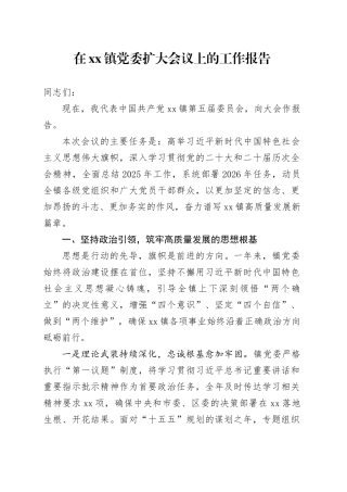 在镇党委扩大会议上的工作报告