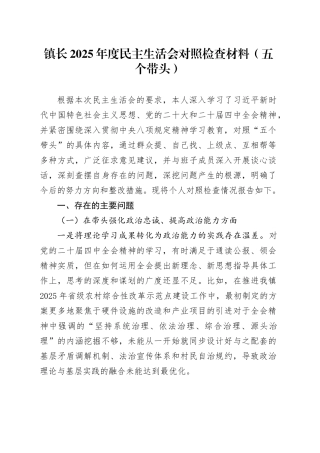 镇长2025年度民主生活会对照检查材料（五个带头）20251229