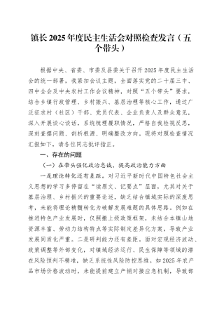 镇长2025年度民主生活会对照检查发言（五个带头）20260106