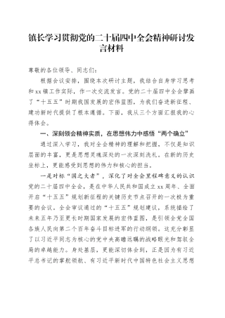 镇长学习贯彻党的二十届四中全会精神研讨发言材料
