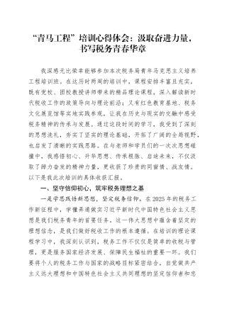 “青马工程”培训心得体会：汲取奋进力量，书写税务青春华章