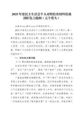 【216篇个人】2025年度民主生活会个人对照检查材料检视剖析发言提纲（五个带头方面）