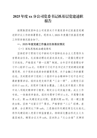 2025年度XX分公司党委书记抓基层党建述职报告